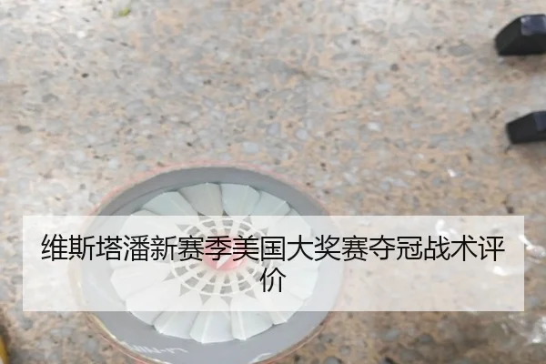 维斯塔潘新赛季美国大奖赛夺冠战术评价